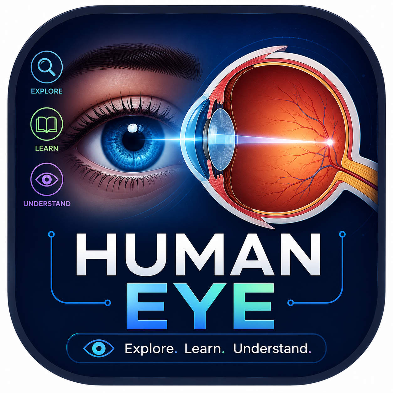Human Eye